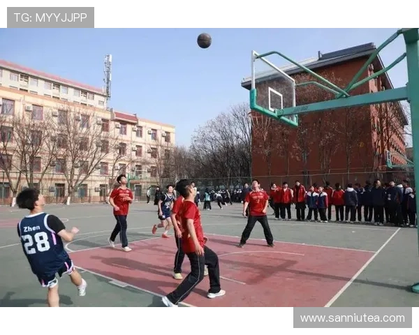 西安篮球队篮球意识大幅提升创新高引发关注与期待