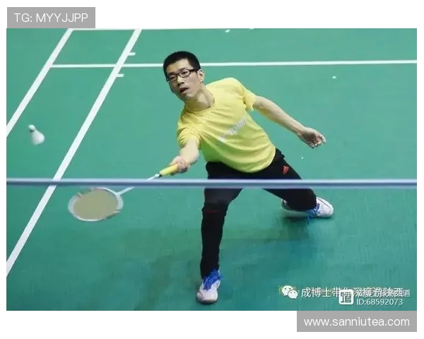 西安羽毛球队快攻战术分析与成败经验分享