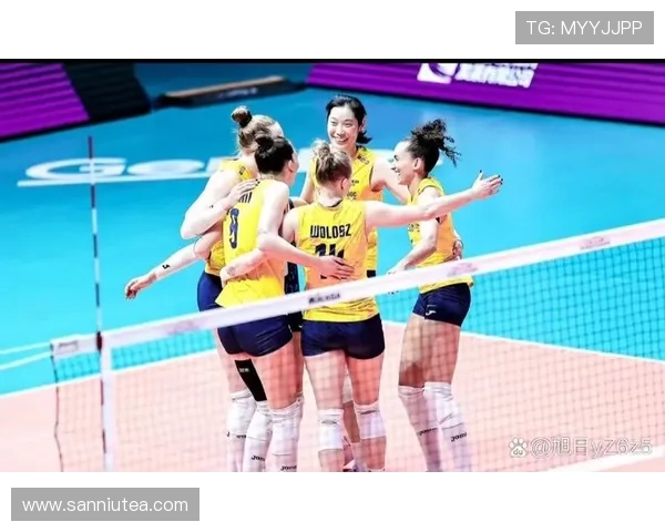 赛后分析：上海排球队与杭州排球队实力对比及比赛亮点回顾