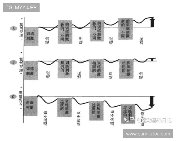 乒乓球技术与战术创新：从基础训练到高水平竞技的全面解析