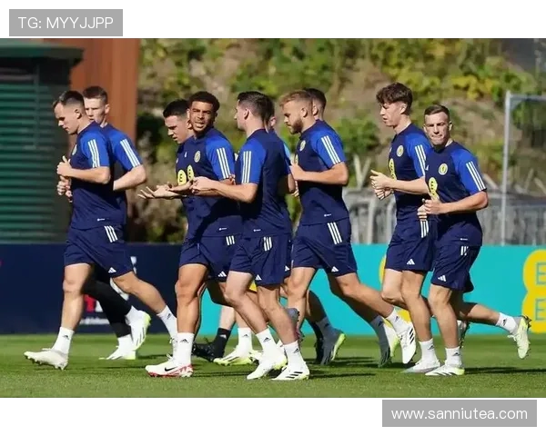 丹麦与波黑友谊赛精彩对决展现足球魅力与团队精神