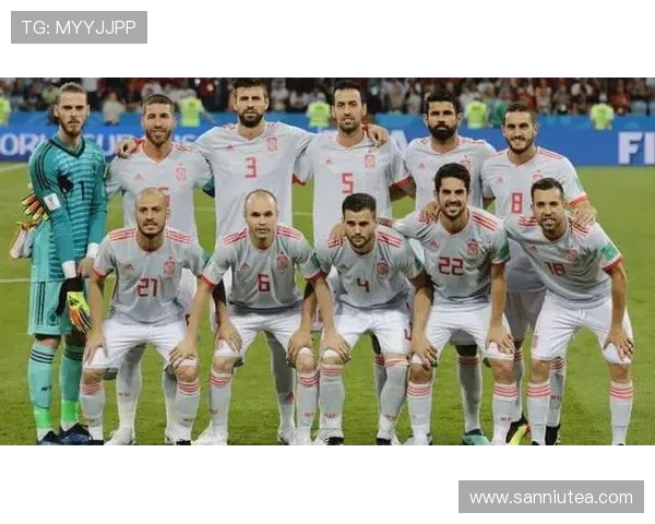 伊朗对阵西班牙精彩视频直播全程回顾与赛后分析