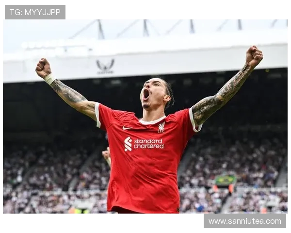 努涅斯在赛场上的崛起与挑战解析及未来发展展望