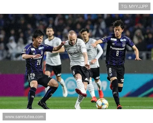 城南足球俱乐部迎战江原球队全力争胜展现实力与激情